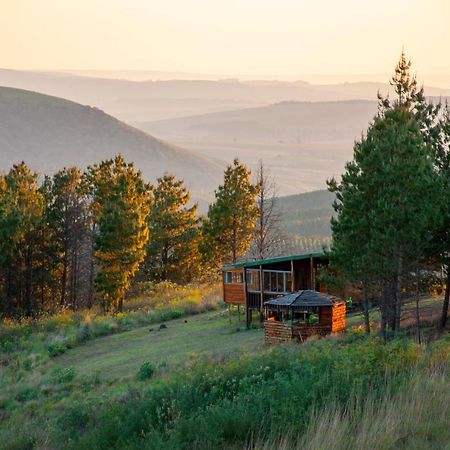 Dargle Forest Lodge Bagian luar foto