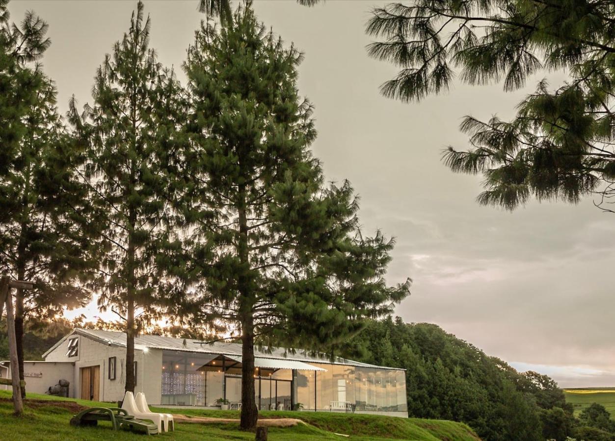 Dargle Forest Lodge Bagian luar foto