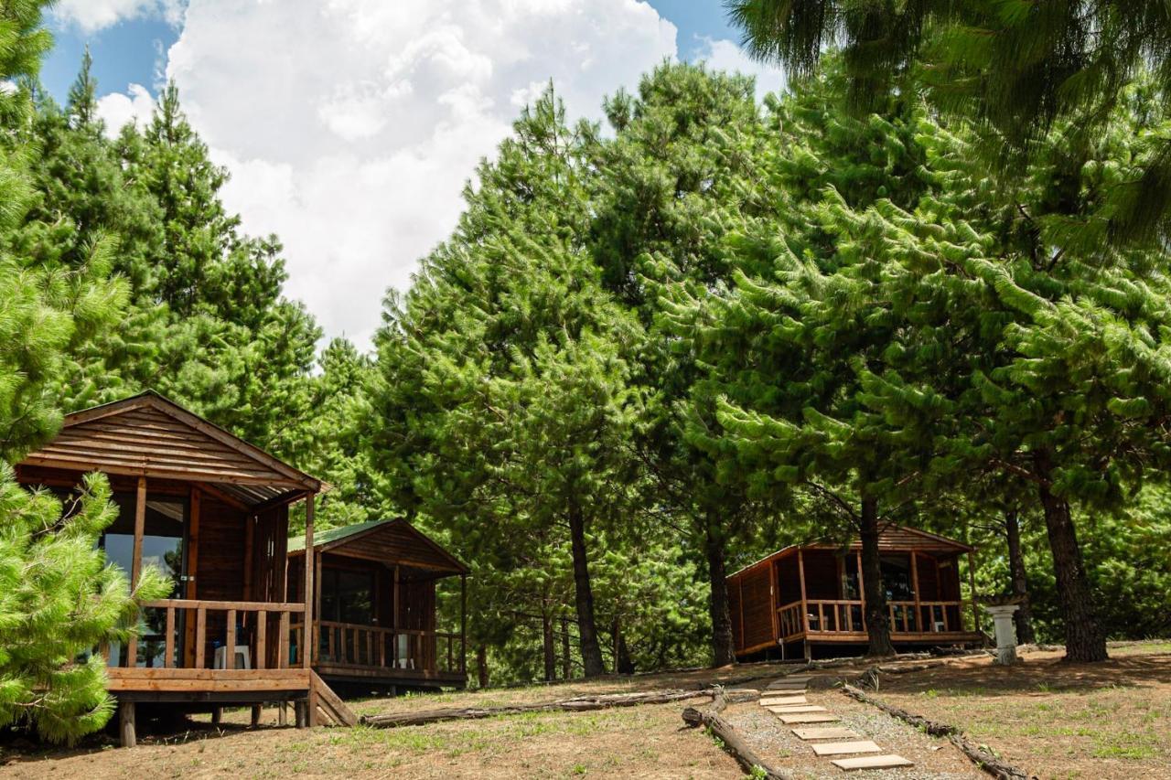 Dargle Forest Lodge Bagian luar foto