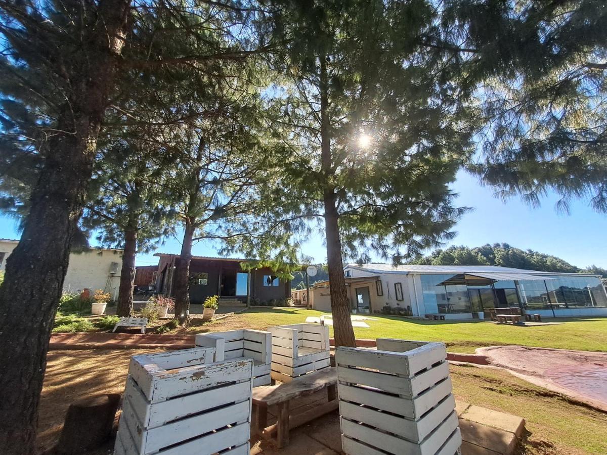 Dargle Forest Lodge Bagian luar foto