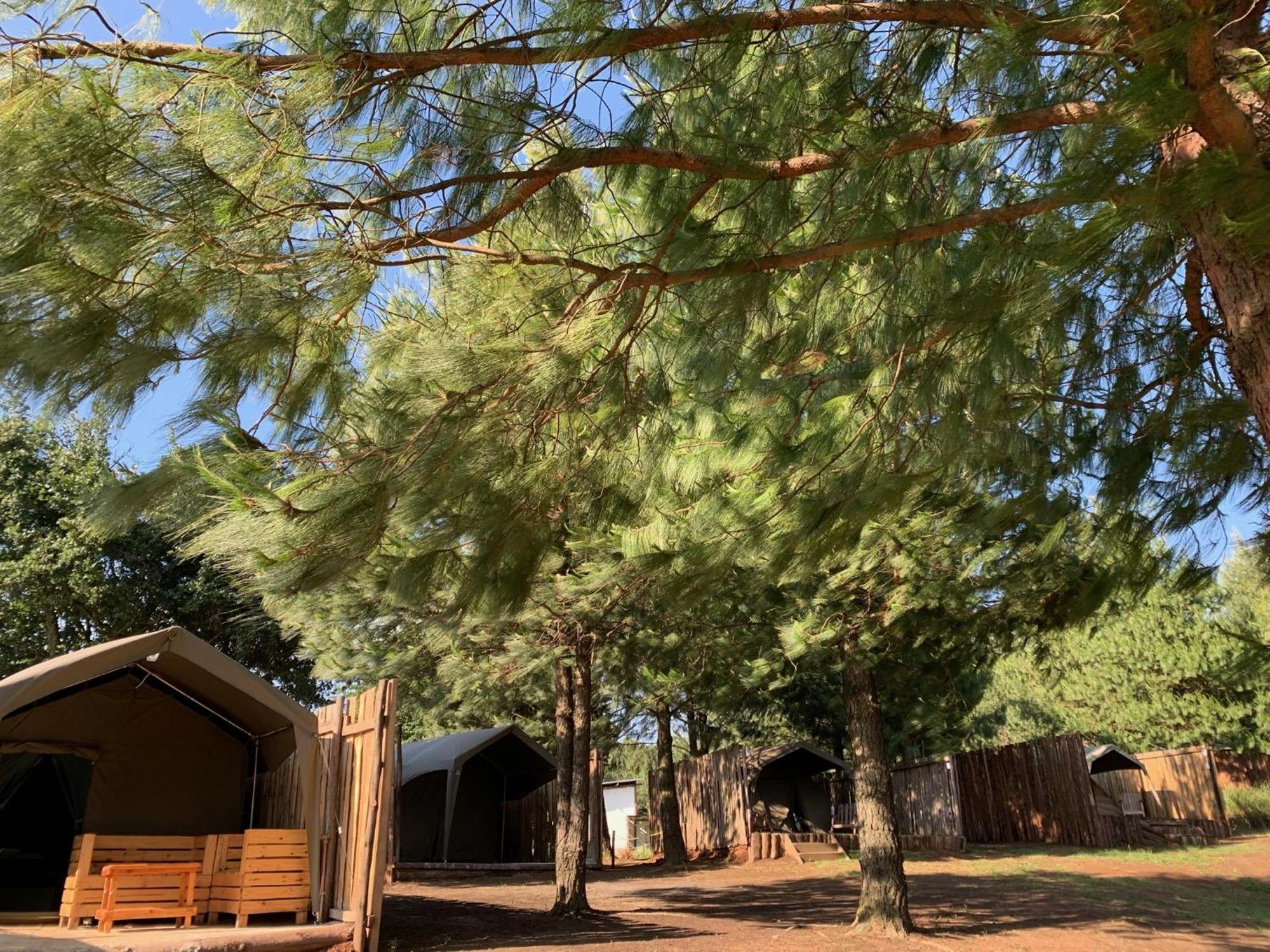 Dargle Forest Lodge Ruang foto