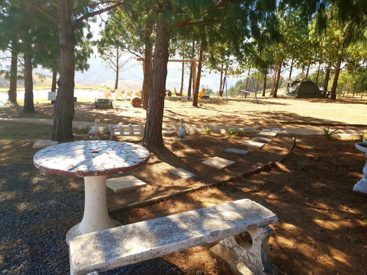 Dargle Forest Lodge Bagian luar foto