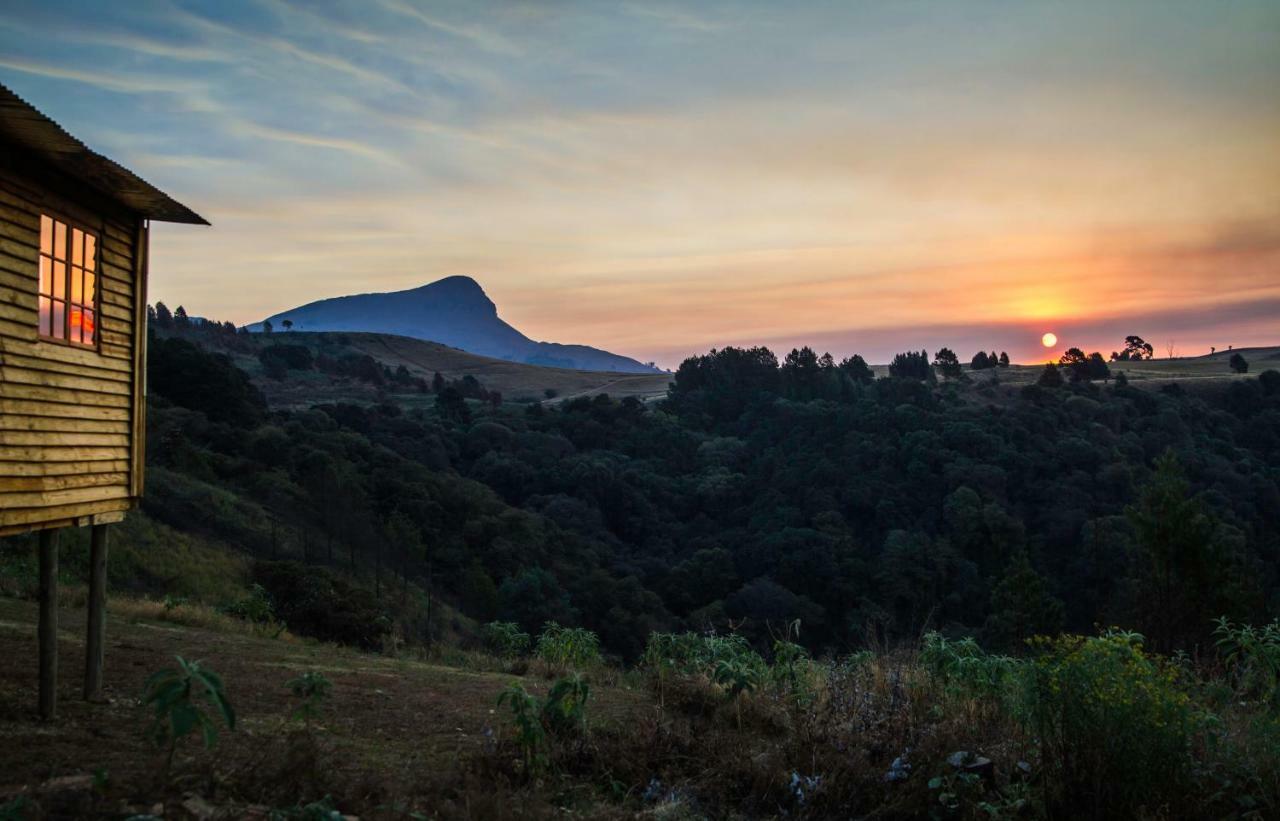 Dargle Forest Lodge Bagian luar foto